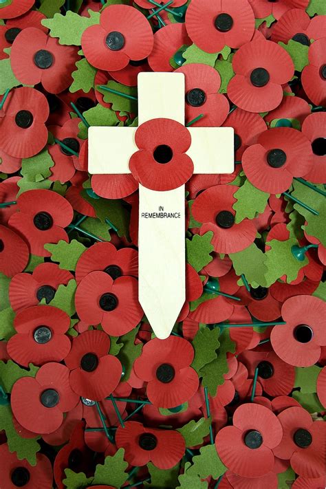 10 best The Royal British Legion images on Pinterest | Remembrance day, Poppies and Remembrance ...