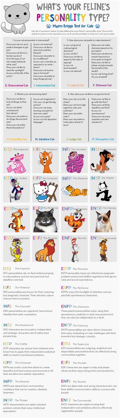 Where does your cat fall in the Myer’s Briggs scale? This fun ...