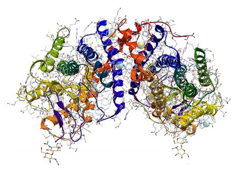 Computational Structural Biology – IA4 Biotech