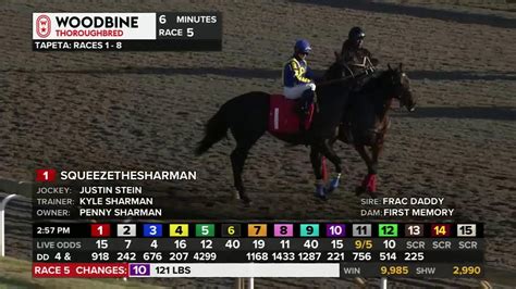 Woodbine Racetrack Live Stream | December 15, 2023 - Total Horse Channel | Equestrian TV