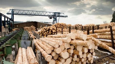 Absentee Owned Full-Service Sawmill / Business For Sale