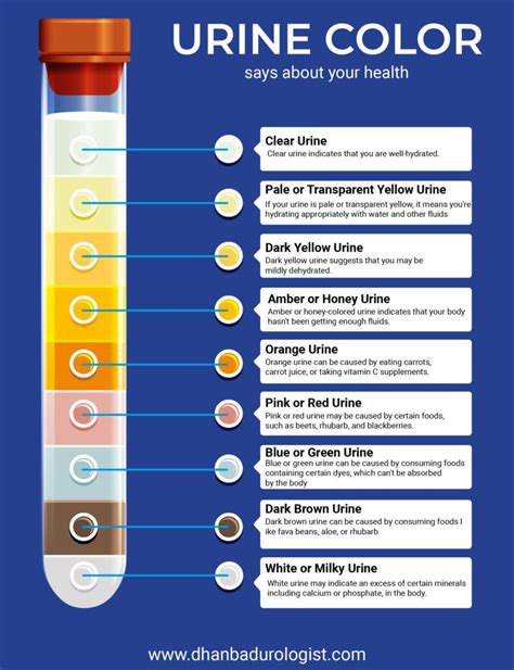 Urine: What Color and Smell Say About Your Health