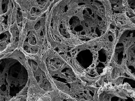 Exploring 3D Structures in Nano-porous Metals - Thermo Fisher Scientific