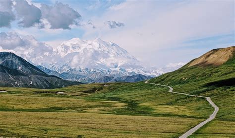 Top 12 Things to Do In Denali National Park