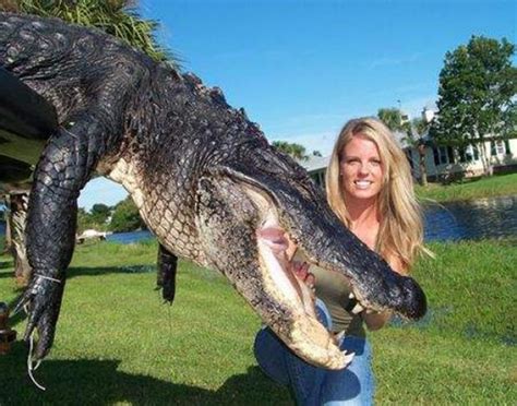 Alligator Hunting in Florida: Big Alligator! | Alligator Hunting