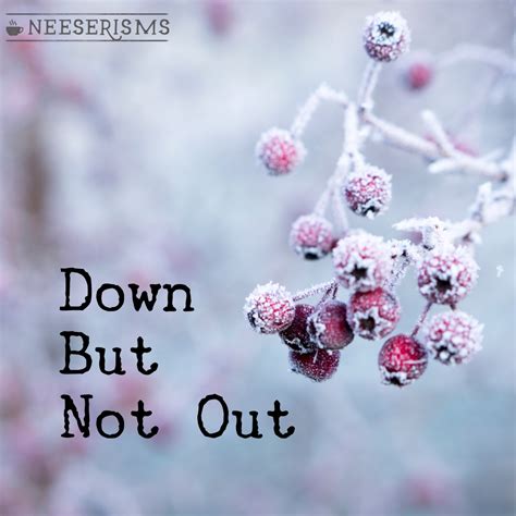 Down But Not Out – Neeserisms