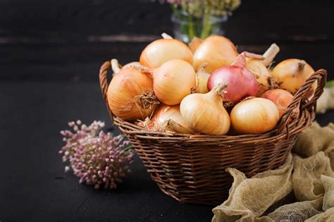 How to Store Onions: The Complete Guide | ThriveNaija | Storing onions, Onion, Types of onions