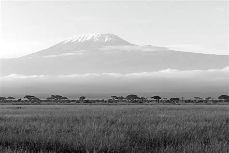 Amboseli and Kilimanjaro-001-M Photograph by David Allen Pierson | Pixels