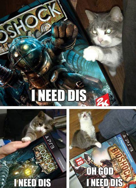 Gamer cat - Meme by kagura15 :) Memedroid