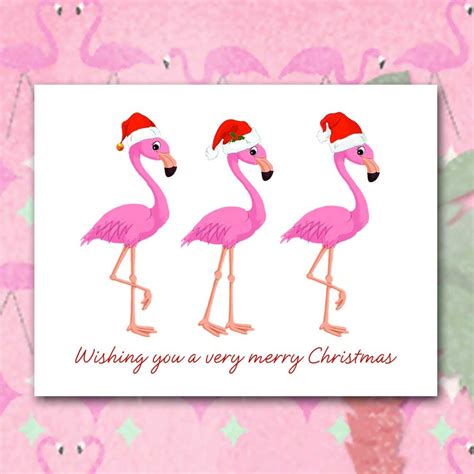 Flamingo Christmas Cards, Santa Hats, Trio of Flamingos, Florida Birds ...