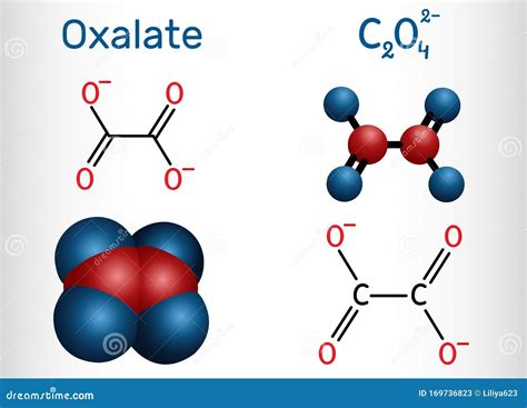 Oxalate Anion, Ethanedioate Molecule. Structural Chemical Formula and Molecule Model Stock ...