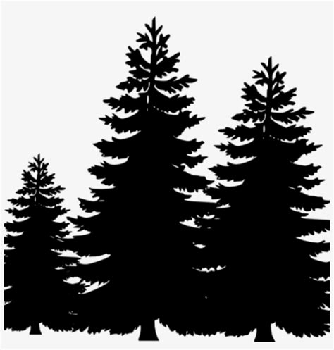 Pine Tree Clip Art Silhouette Cliparts Accent Wall - Pine Trees Silhouette Png PNG Image ...