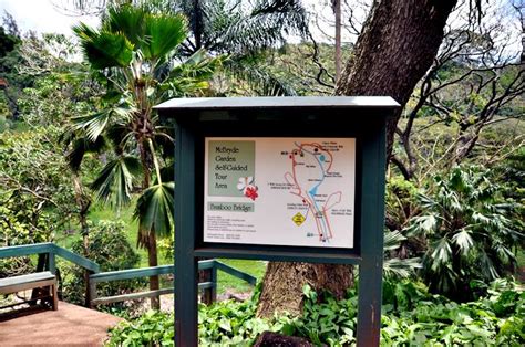 Kauai Garden Tours | Kauai.com