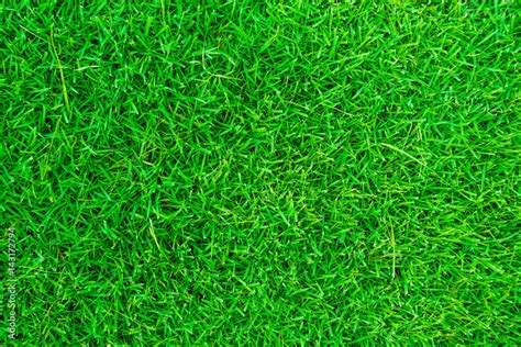 Nature green grass texture above view Stock Photo | Adobe Stock