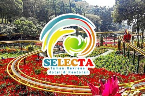 Outbound Selecta Malang ,Outbound Selecta , Outbound Anak Di Malang ...