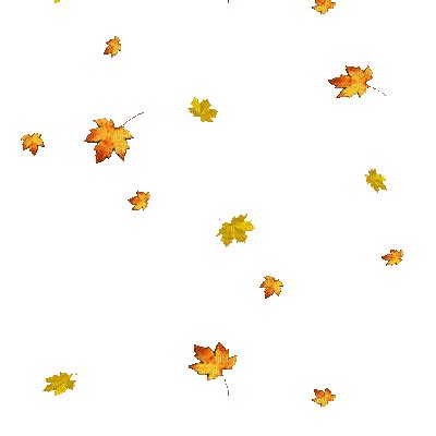 Fall Leaves Falling Gif