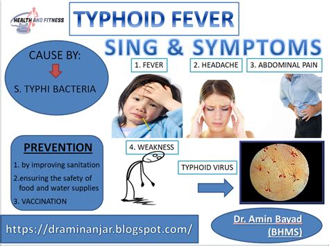 Typhoid Fever: Symptoms, treatment, causes, and prevention ~ Ceiria