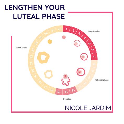 How To Detect Your Luteal Phase - Gameclass18