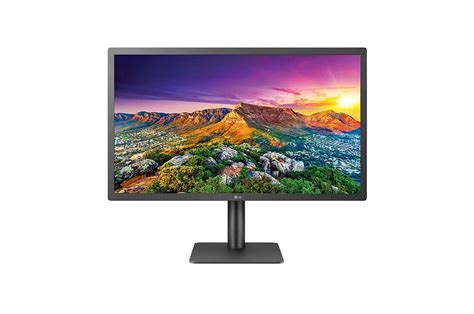 23.7" UltraFine™ 4K Monitor - 24MD4KL | LG UK