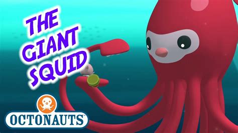 Octonauts The Giant Squid