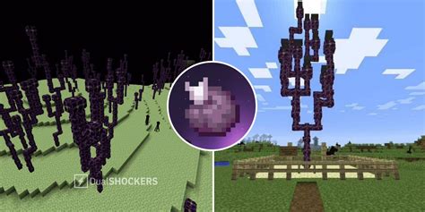 Minecraft Chorus Fruit: How To Farm And What They're Used For