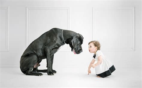 6 Reasons Your Children Should Grow Up with a Large Dog Breed – Animal ...