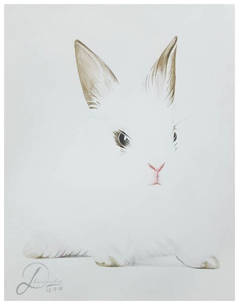 How To Draw A Realistic Bunny