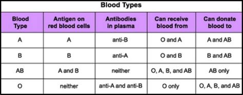 ANTIGEN-ANTIBODY well explained - Laboratory Insider