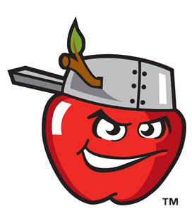 FORT WAYNE TINCAPS Logo Download png