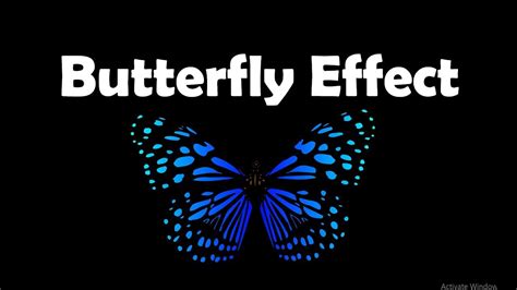 Butterfly Effect- Theory of Butterfly Effect- Chaos Theory- Examples of Butterfly Effect- USA ...