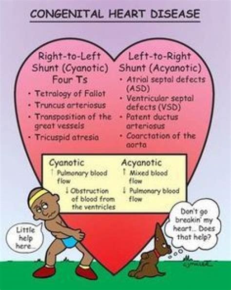 congenital heart defects nursing - Google Search | Nursing mnemonics ...