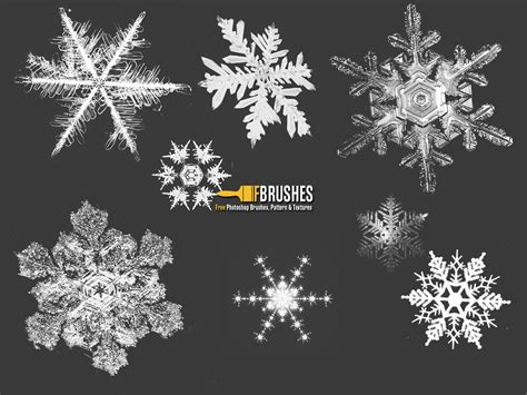 Stunning Snow Flakes - Brushes - Fbrushes