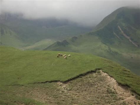 Azerbaijan Nature: brief description of flora and fauna of the country