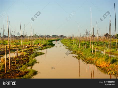 Floating Gardens Inle Image & Photo (Free Trial) | Bigstock