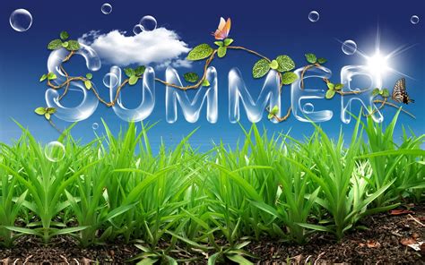 Summer Fun Wallpaper for Desktop - WallpaperSafari