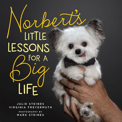 My Book — NORBERT