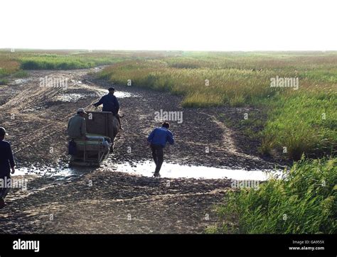 Dongtan - Eco-city Project Stock Photo - Alamy