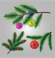 Fir branch christmas tree branches with cones Vector Image