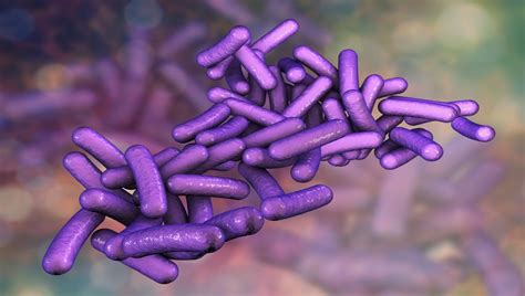 Denmark investigates Shigella outbreak with 40 sick | Food Safety News