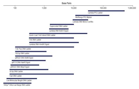 Markers and Ladders | NEB