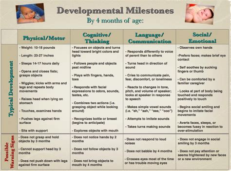 The Two's Don't Have to be Terrible: Developmental Milestones