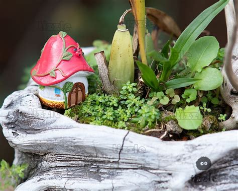 Miniature Fairy Pumpkin House Fairy Garden Accessories | Etsy