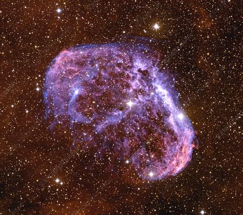 Crescent Nebula - Stock Image - R560/0270 - Science Photo Library