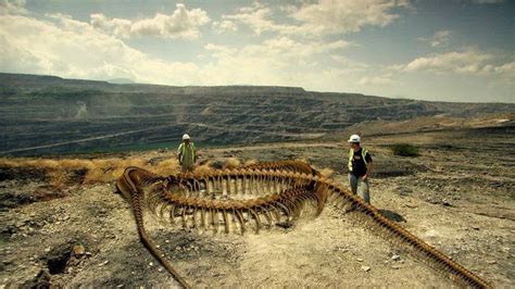 Fossil Resurrection: Titanoboa