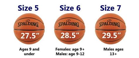 Basketball sizes for all ages | Baloncesto, Balones, José alonso