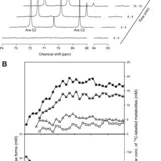 L-Arabinose metabolism in suspensions of C. arabinofermentans PYCC 5603... | Download Scientific ...