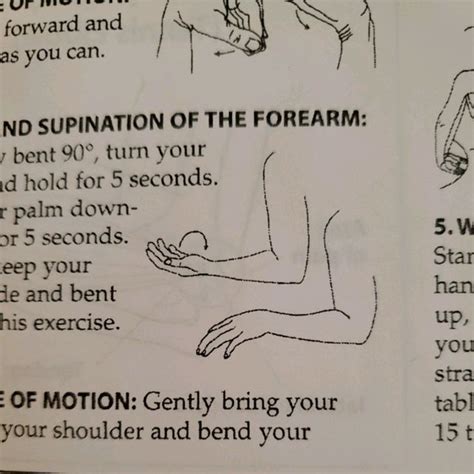 Forearm Pronation Exercises | atelier-yuwa.ciao.jp