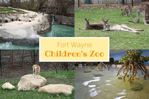 Fort Wayne Children's Zoo - Buddy The Traveling Monkey