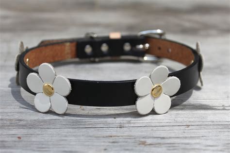 Leather Dog Collar With Flowers - Etsy