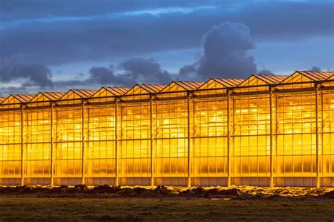 Industrial greenhouse Stock Photos, Royalty Free Industrial greenhouse Images | Depositphotos